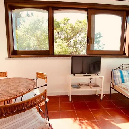 Holiday home T